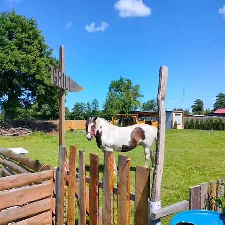 בית חווה Goscinne Danusia Karwienskie Bloto Drugie