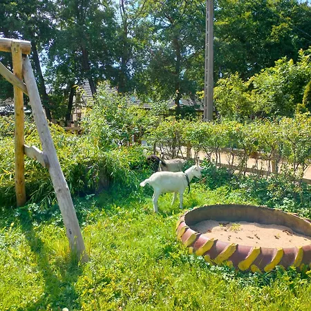 Goscinne Danusia Farm stay Karwienskie Bloto Drugie