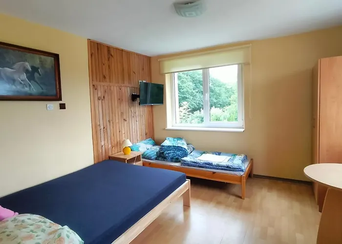 Goscinne Danusia Karwienskie Bloto Drugie