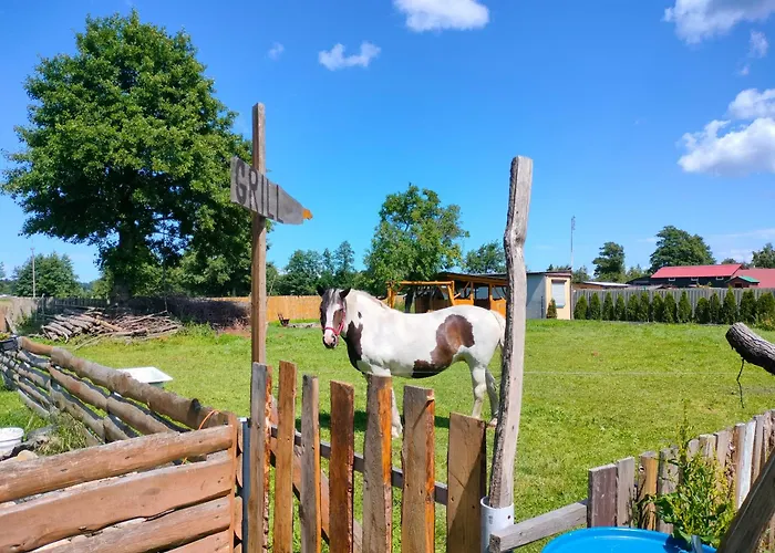 Фермерский дом Goscinne Danusia Karwienskie Bloto Drugie