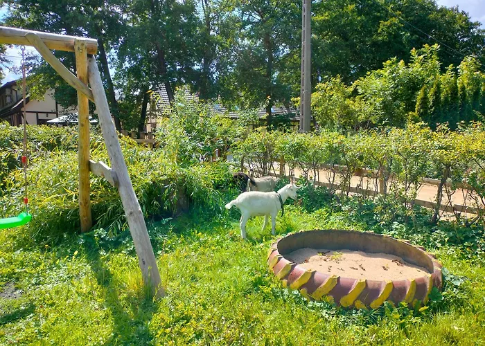 Goscinne Danusia Фермерский дом Karwienskie Bloto Drugie